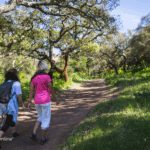 Sul Informação - Semana ID Rota Vicentina mostra identidade, vinhos, gastronomia e caminhadas