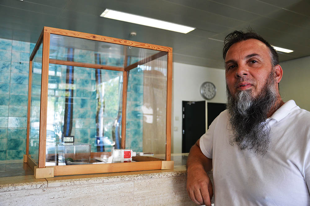 Sul Informação - Sabe o que é a mirmecologia? Vá até à EMARP e descubra