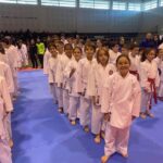 Sul Informação - Atletas amarelejenses vão ao pódio em prova de Karate