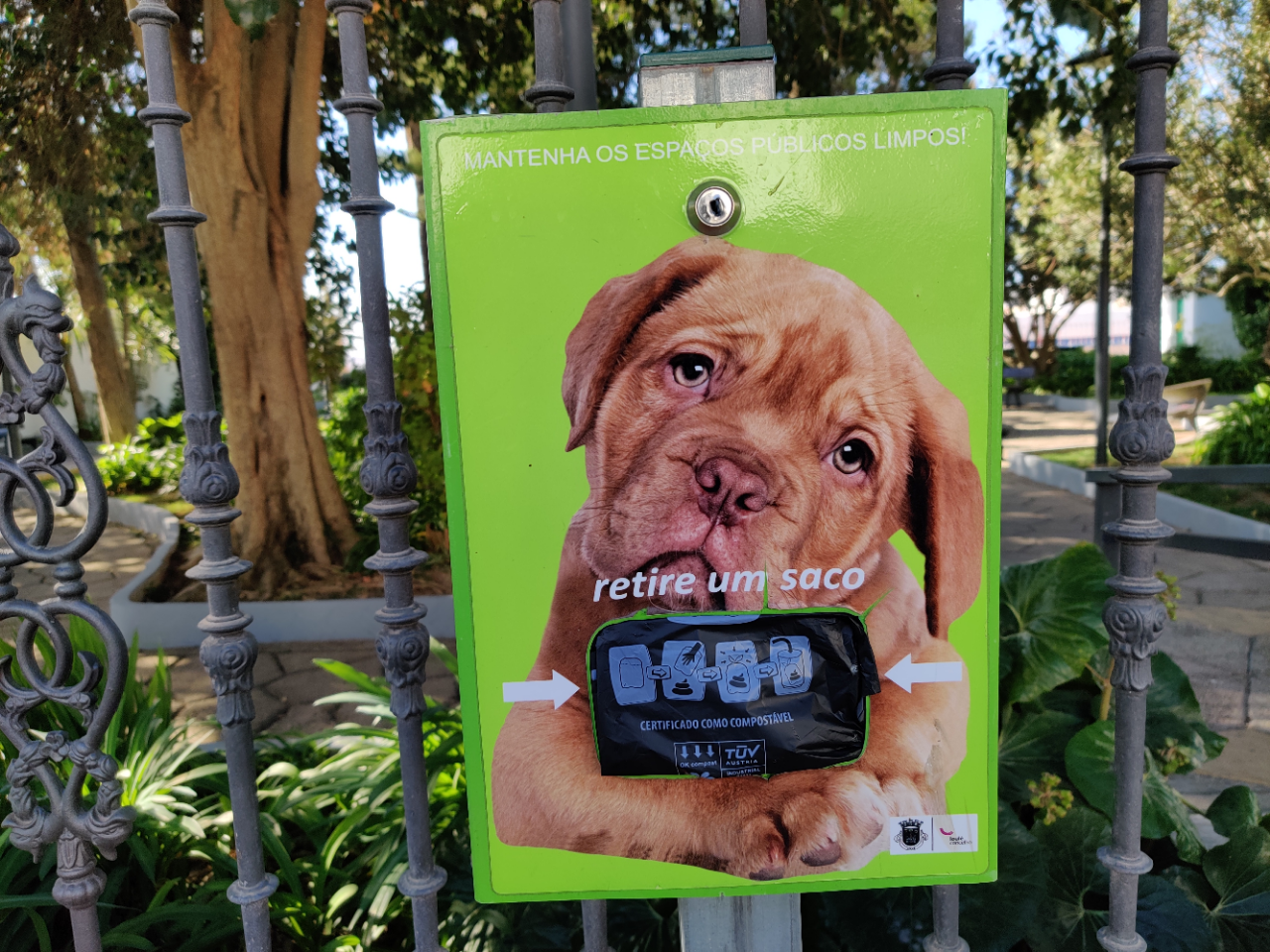 Sul Informação - Loulé vai ter sacos para cocó de cão de material biodegradável