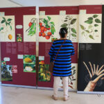 Sul Informação - Navegadores de várias idades foram à escola na Fortaleza de Sagres [com vídeo]