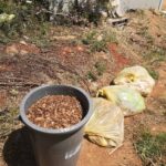 Sul Informação - Salema Eco Camp avança com compostagem de biorresíduos para se tornar “Zero Waste”