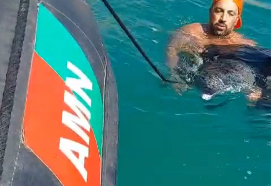 Sul Informação - Golfinho em dificuldades resgatado junto à praia da Senhora da Rocha