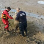 Sul Informação - Polícia Marítima e Bombeiros resgatam mulher em dificuldades na ribeira de Boina, em Portimão