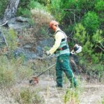 Sul Informação - Caminho antigo entre as Caldas de Monchique e a Picota redescoberto para acolher turistas de natureza