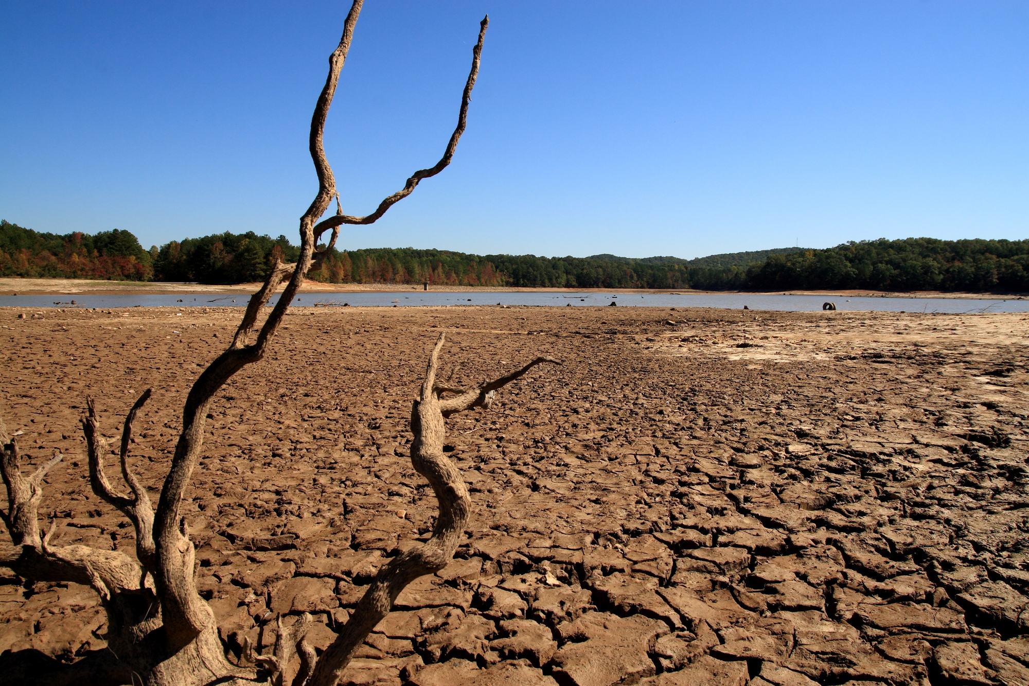 Sul Informação - Movimentos de defesa do Guadiana, Tejo e Douro contra transvases de água para o Sul