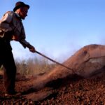 Sul Informação - Patrimónios imateriais e fotografia