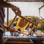 Sul Informação - Semana ID Rota Vicentina mostra identidade, vinhos, gastronomia e caminhadas