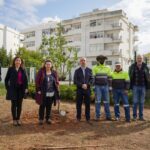 Sul Informação - Esta é uma Semana Verde em Lagoa