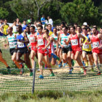 Sul Informação - Cross das Amendoeiras cheio de peripécias e surpresas (com fotos)
