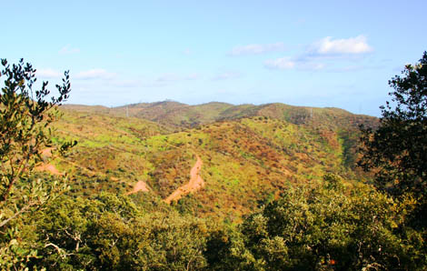 Sul Informação - Ciclo de Passeios Natureza promete “Levar abraços à Serra de São Brás”