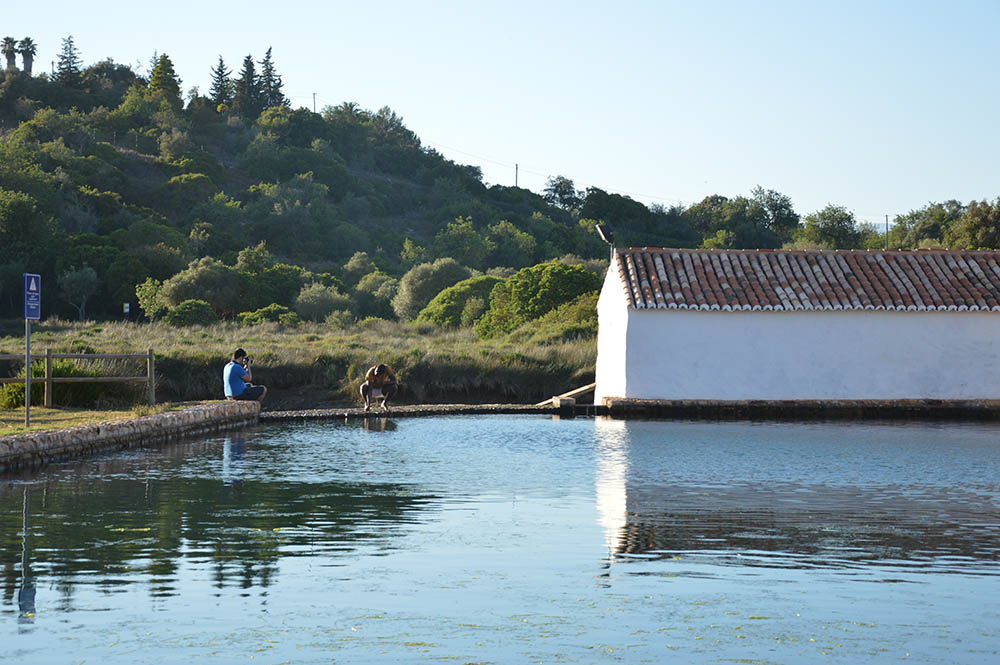 Sul Informação - Cátedra da UNESCO põe Universidade do Algarve a liderar luta global para garantir a “saúde” da água