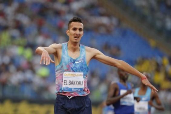 Sul Informação - Atletismo: Soufiane El Bakkali e Carla Salomé Rocha vencem Cross das Amendoeiras