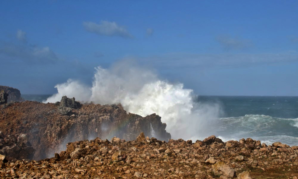 Sul Informação - Fotogaleria: Félix não tem a força de um Hércules mas…