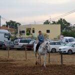 Sul Informação - Fotogaleria: Terra de Maio volta a levar ao Azinhal saberes, sabores e animação