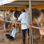 Sul Informação - Fotogaleria: Terra de Maio volta a levar ao Azinhal saberes, sabores e animação