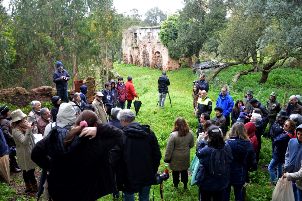 Sul Informação - Terras sem Sombra, o festival alentejano que até consegue pôr a embaixadora dos EUA a plantar sobreiros