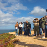 Sul Informação - Terras sem Sombra “mergulhou” em Colos, Odemira e na ponta da Carraca