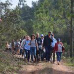 Sul Informação - Terras sem Sombra terminou em Sines com um jardim harmónico cheio de afeto