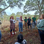 Sul Informação - Terras sem Sombra terminou em Sines com um jardim harmónico cheio de afeto