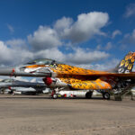 Sul Informação - Força Aérea organiza exercício NATO Tiger Meet 2021 na Base Aérea de Beja