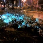 Sul Informação - Olhão: Vento forte provoca danos no Pavilhão Municipal e danifica viaturas (com fotos)