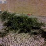 Sul Informação - Olhão: Vento forte provoca danos no Pavilhão Municipal e danifica viaturas (com fotos)