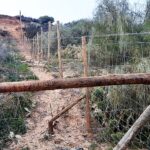 Sul Informação - ICNF embarga construção de muro, estrada e vedação em plena Ria Formosa