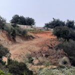 Sul Informação - ICNF embarga construção de muro, estrada e vedação em plena Ria Formosa