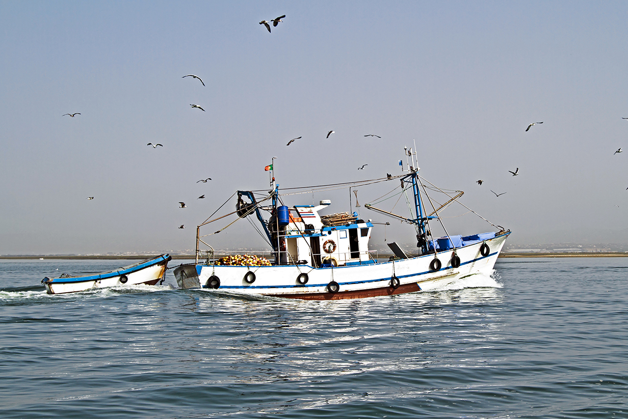 Sul Informação - Almograve comemora Dia do Pescador com debate, música e gastronomia