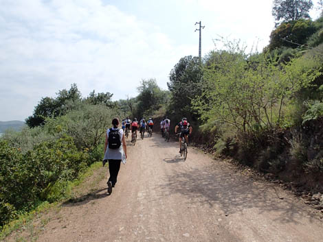 Travessia da Via Algarviana - caminhantes e ciclistas Sul Informação