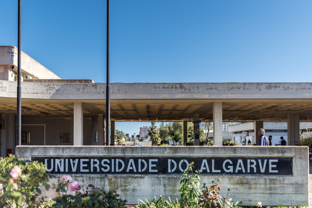 Sul Informação - AMAL assina Acordo de Cooperação com Universidade do Algarve na área da Formação