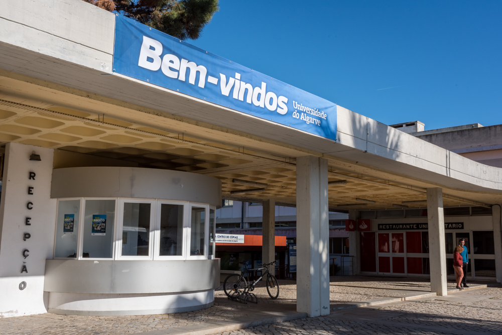 Sul Informação - Colocações da 1ª fase crescem 4% na Universidade do Algarve e contrariam tendência nacional