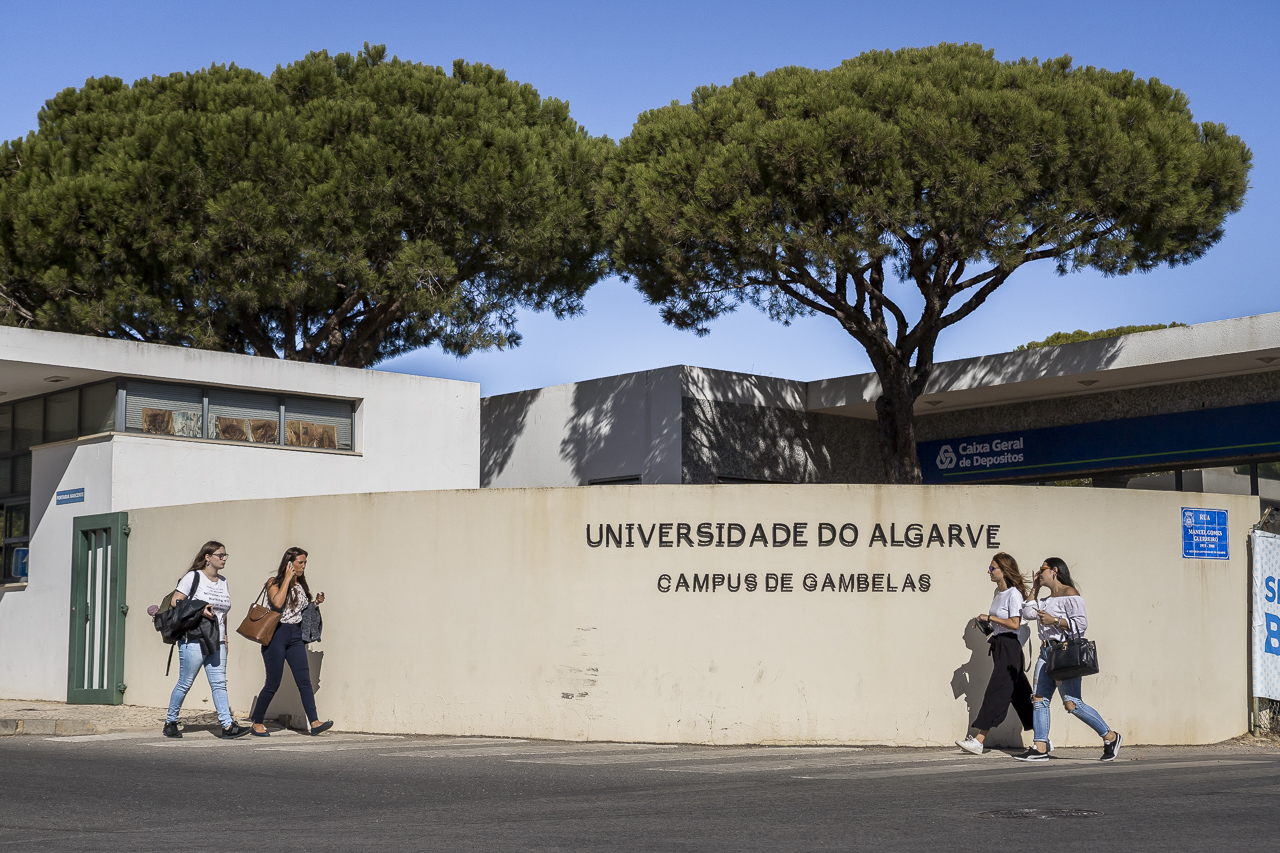 Sul Informação - UAlg volta a destacar-se em ranking internacional nas áreas das Ciências da Vida e da Saúde