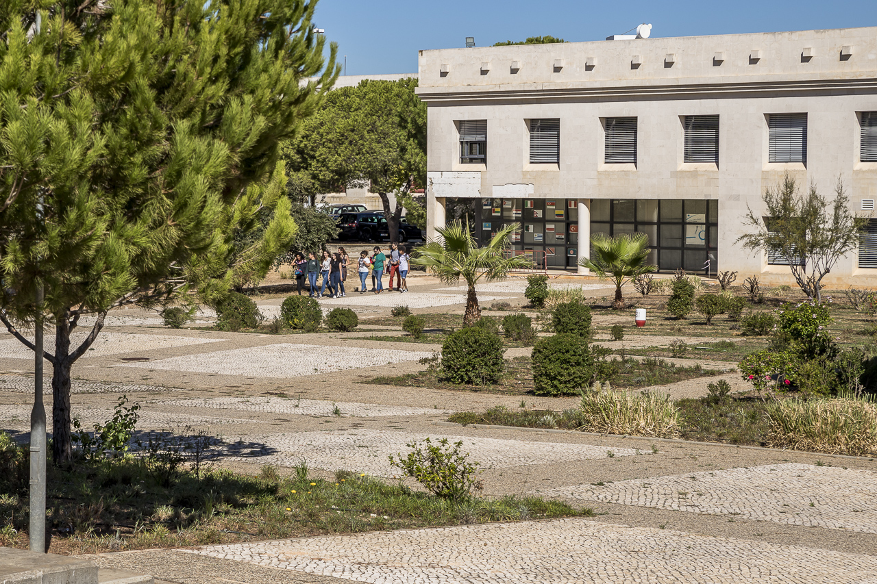 Sul Informação - Equipa de investigadores da UAlg vence concurso “Born From Knowledge – Ideas”