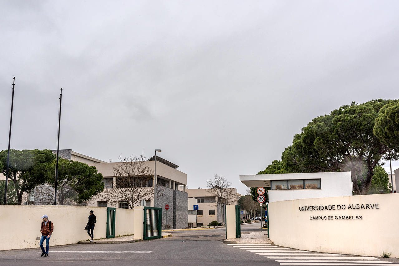 Sul Informação - UAlg foi das primeiras universidades a celebrar protocolo com a Organização de Estados Ibero-Americanos