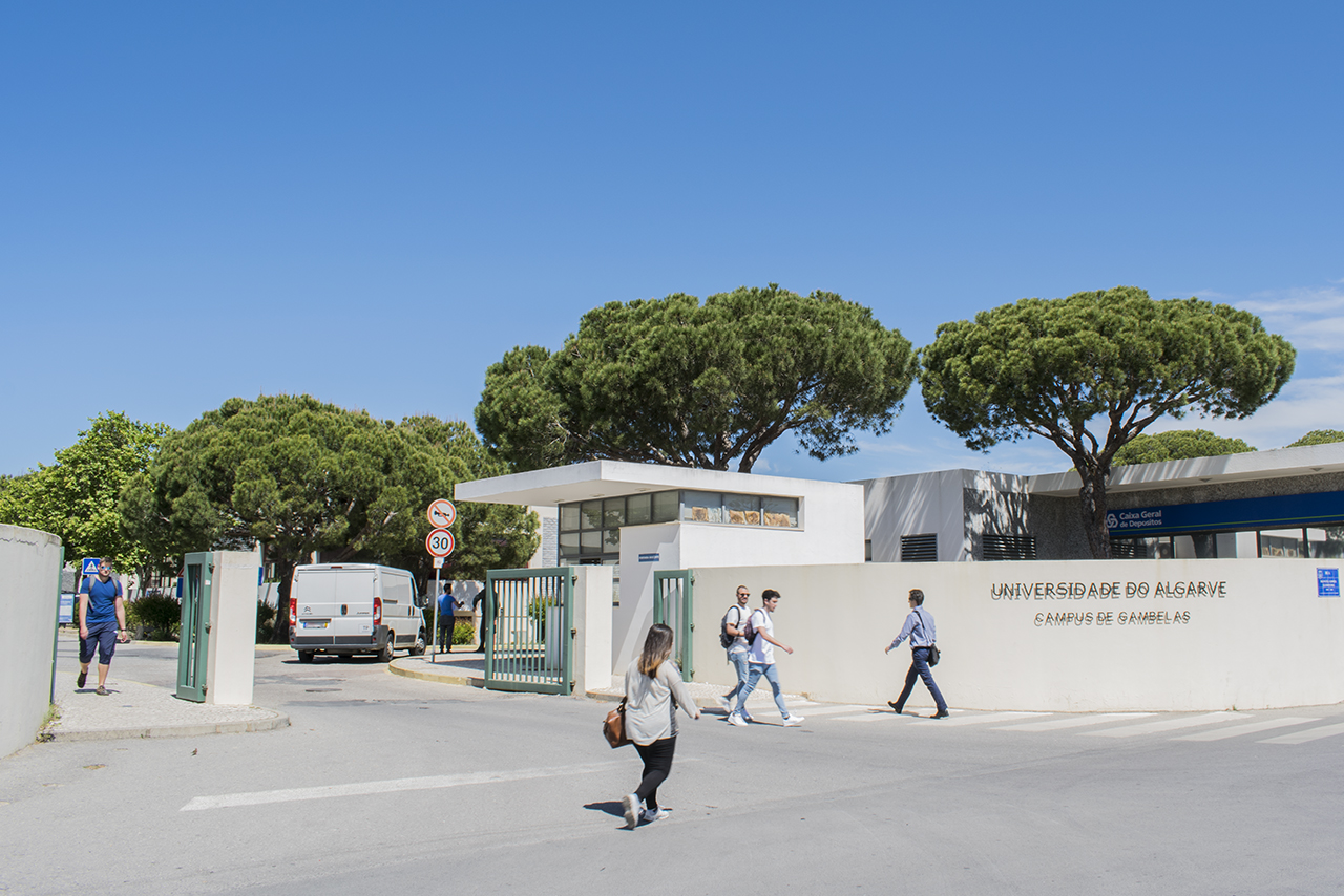 Sul Informação - Universidade do Algarve recebe encontro de psicólogos dos serviços de orientação do Sul
