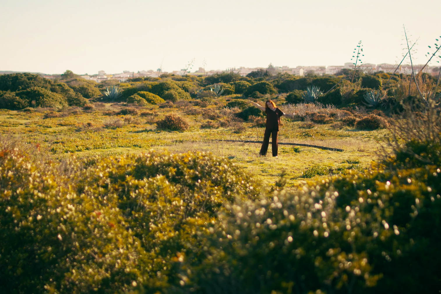 Sul Informação - Outono em Vila do Bispo é tema de novo vídeo promocional