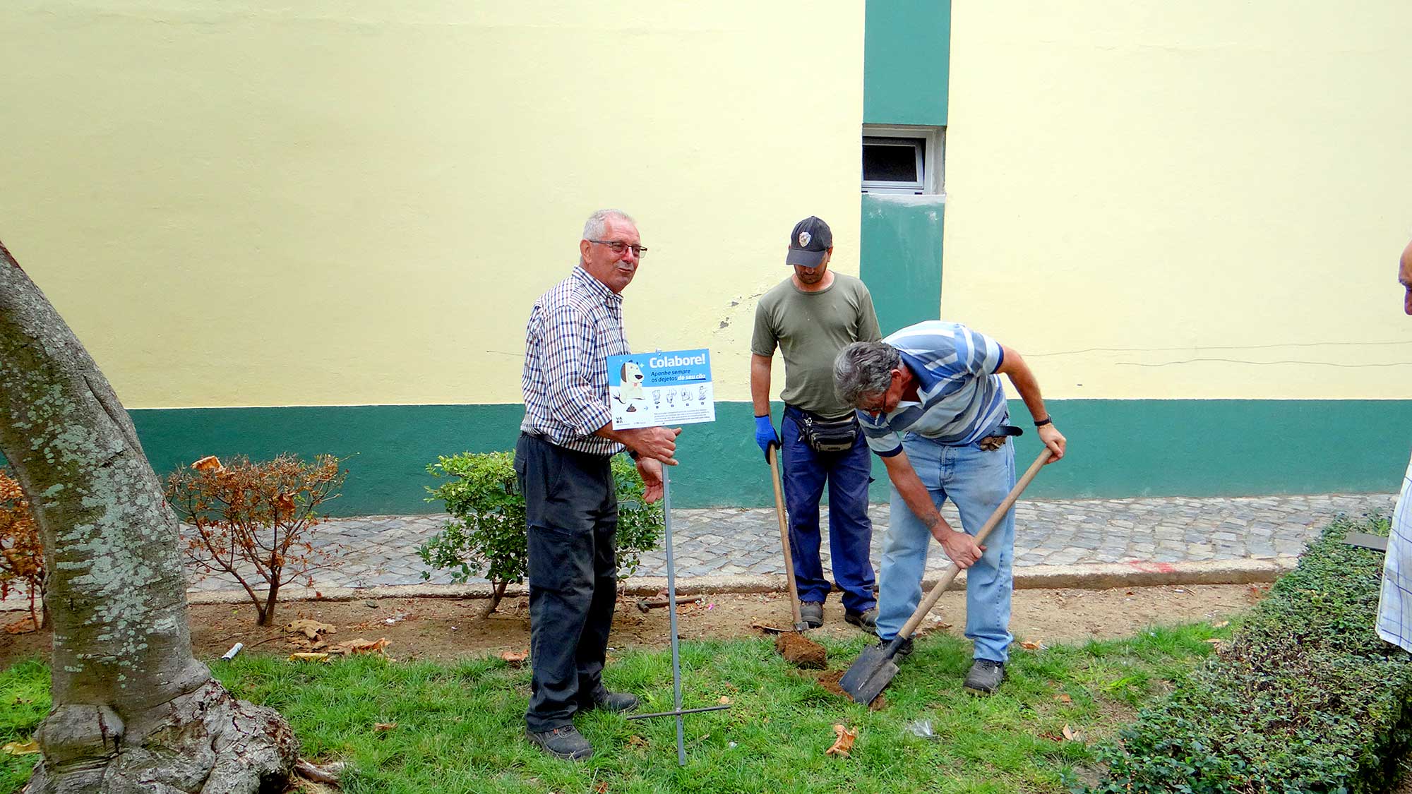 Sul Informação - VRSA lança campanha contra o cocó de cão na via pública