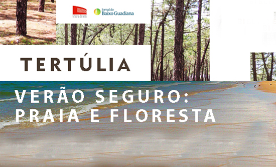 Sul Informação - Tertúlia «Verão Seguro: Praia e Floresta» junta Capitão dos Portos e Comandante da Proteção Civil