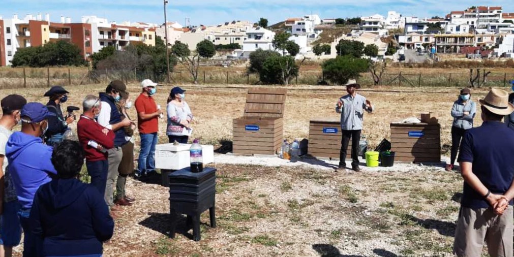 Sul Informação - Silves testa vermicompostagem nas hortas comunitárias