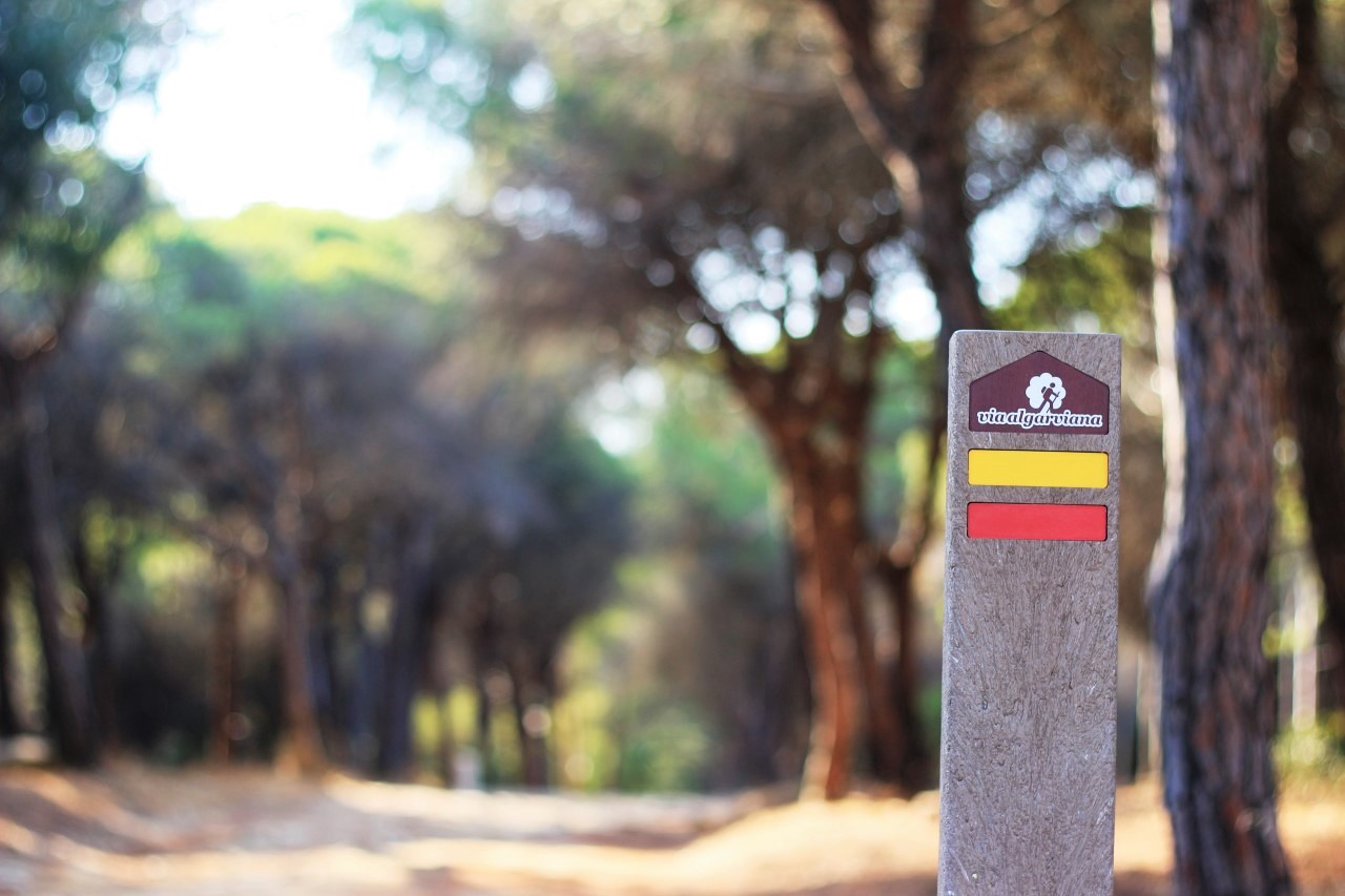 Sul Informação - Começam hoje em Aljezur as ações de formação «Um Elogio à Natureza» sobre a Via Algarviana