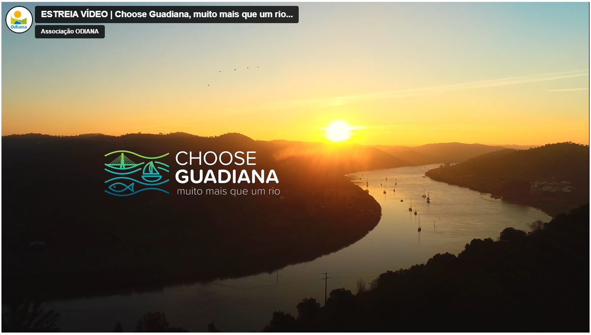 Sul Informação - Vídeo promocional «Choose Guadiana» estreou-se hoje