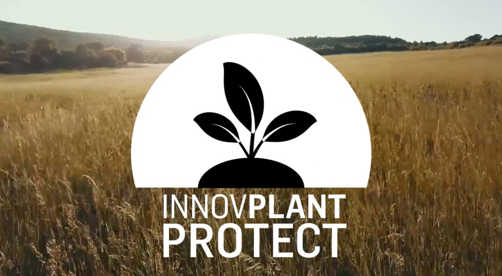 Sul Informação - Elvas: Laboratório colaborativo “InnovPlantProtect” celebra 3º aniversário