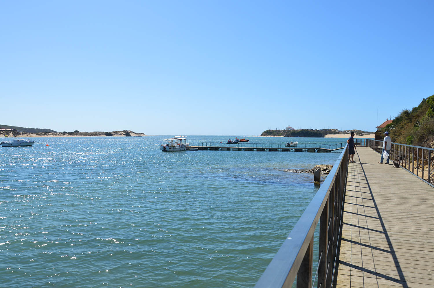 Sul Informação - Estudo aponta retrocesso na recuperação natural das pradarias marinhas do rio Mira