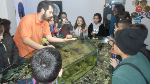 Sul Informação - Crianças vencedoras de concurso de Natal em Loulé estiveram no CCV do Algarve