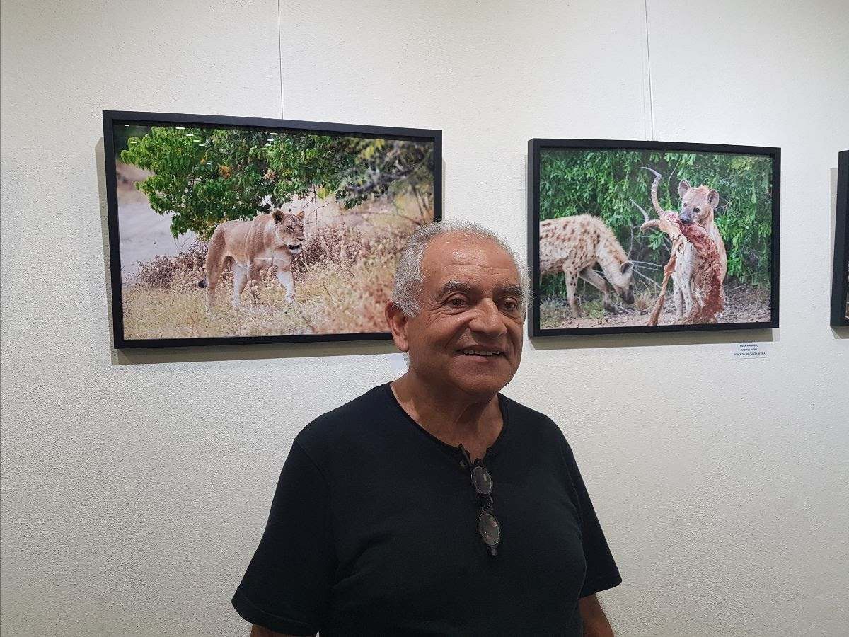Sul Informação - EMARP mostra vida selvagem do Botswana e da África do Sul