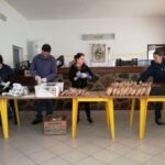 Sul Informação - Festival de caminhadas voltou a encher e a deixar a sua marca no Ameixial [com fotos]