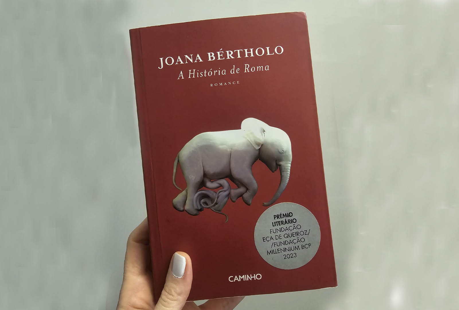 Sul Informação - A vida que não foi: uma leitura de “A História de Roma”