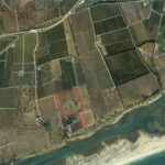 Sul Informação - Há novos «trabalhos ilegais de plantação de abacates» no Parque Natural da Ria Formosa